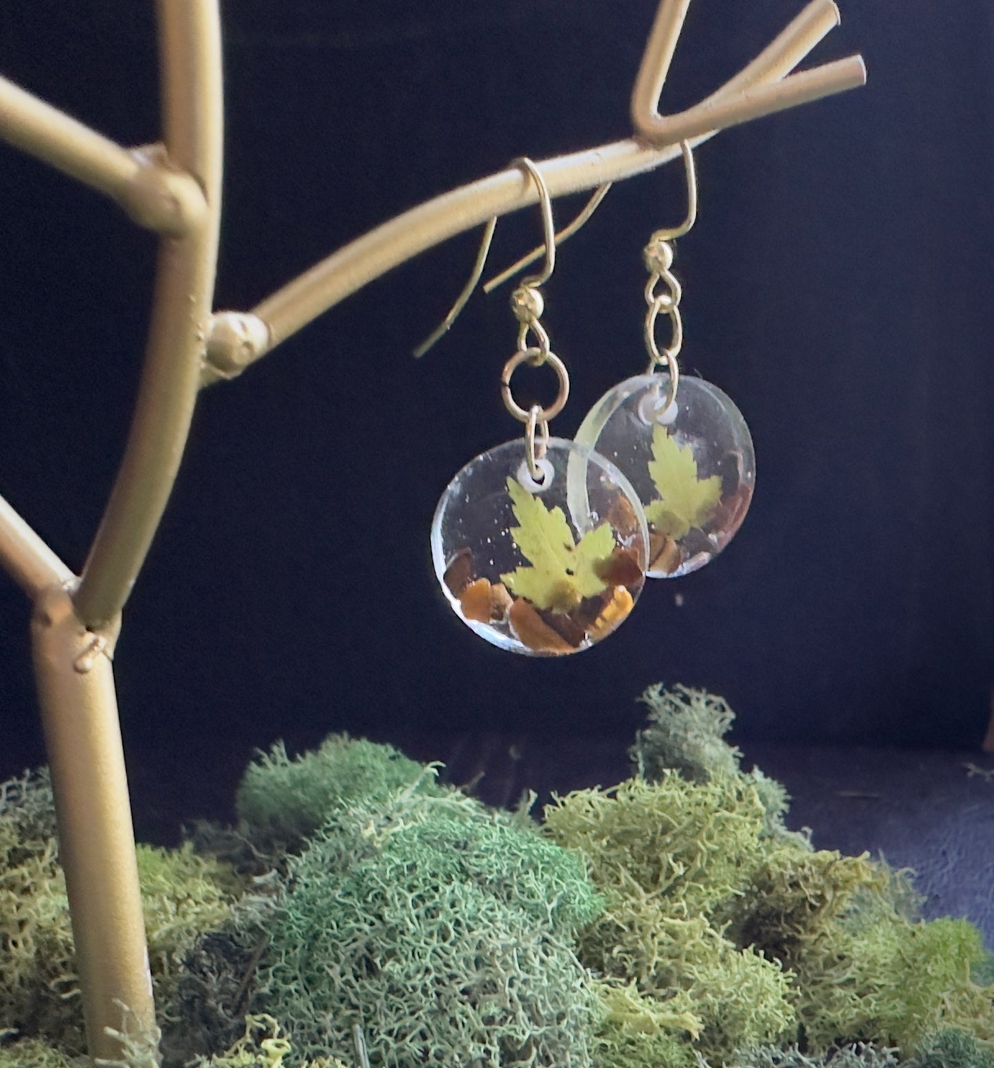 Maple Tigers eye earrings