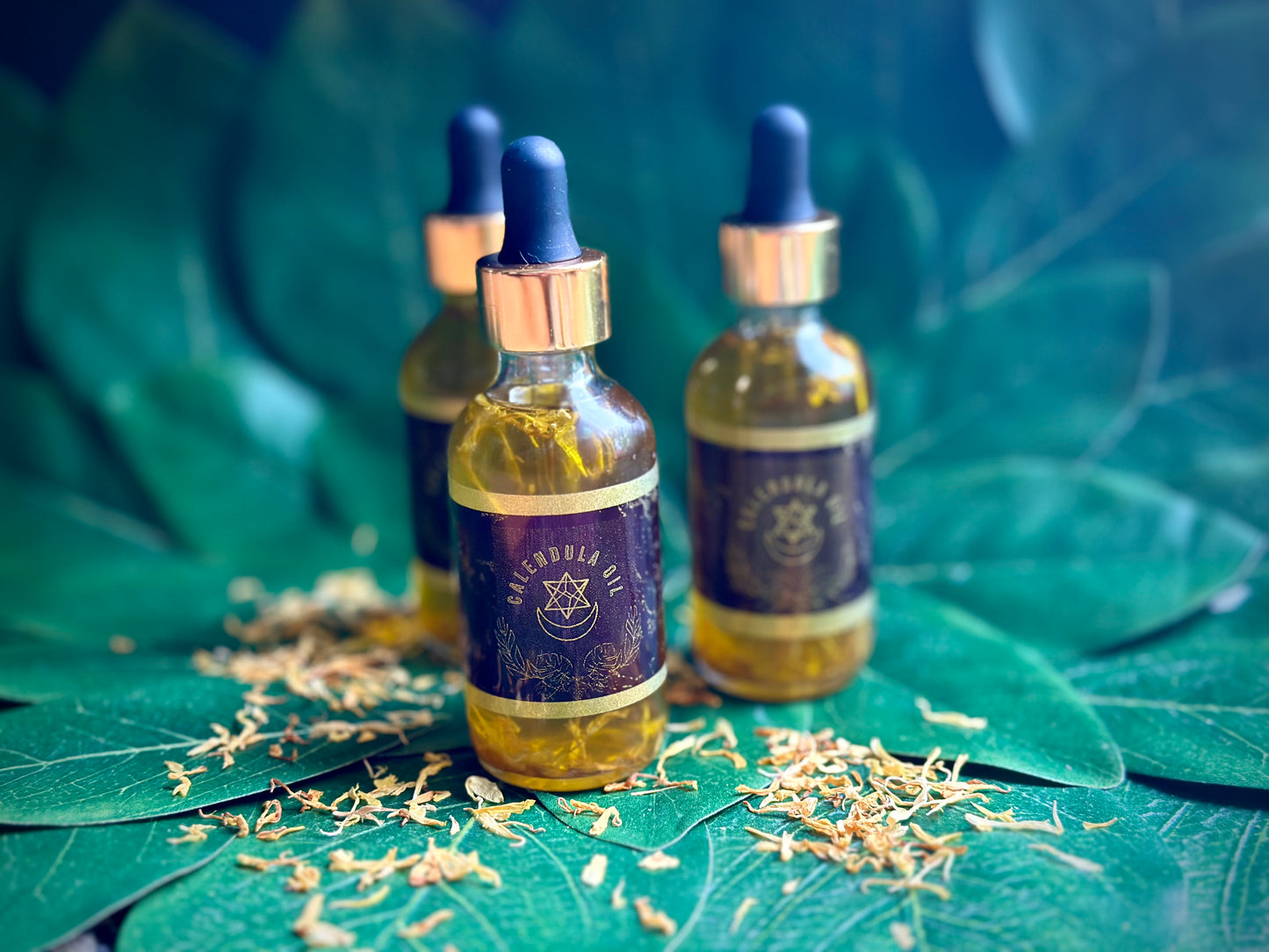 Calendula Oil