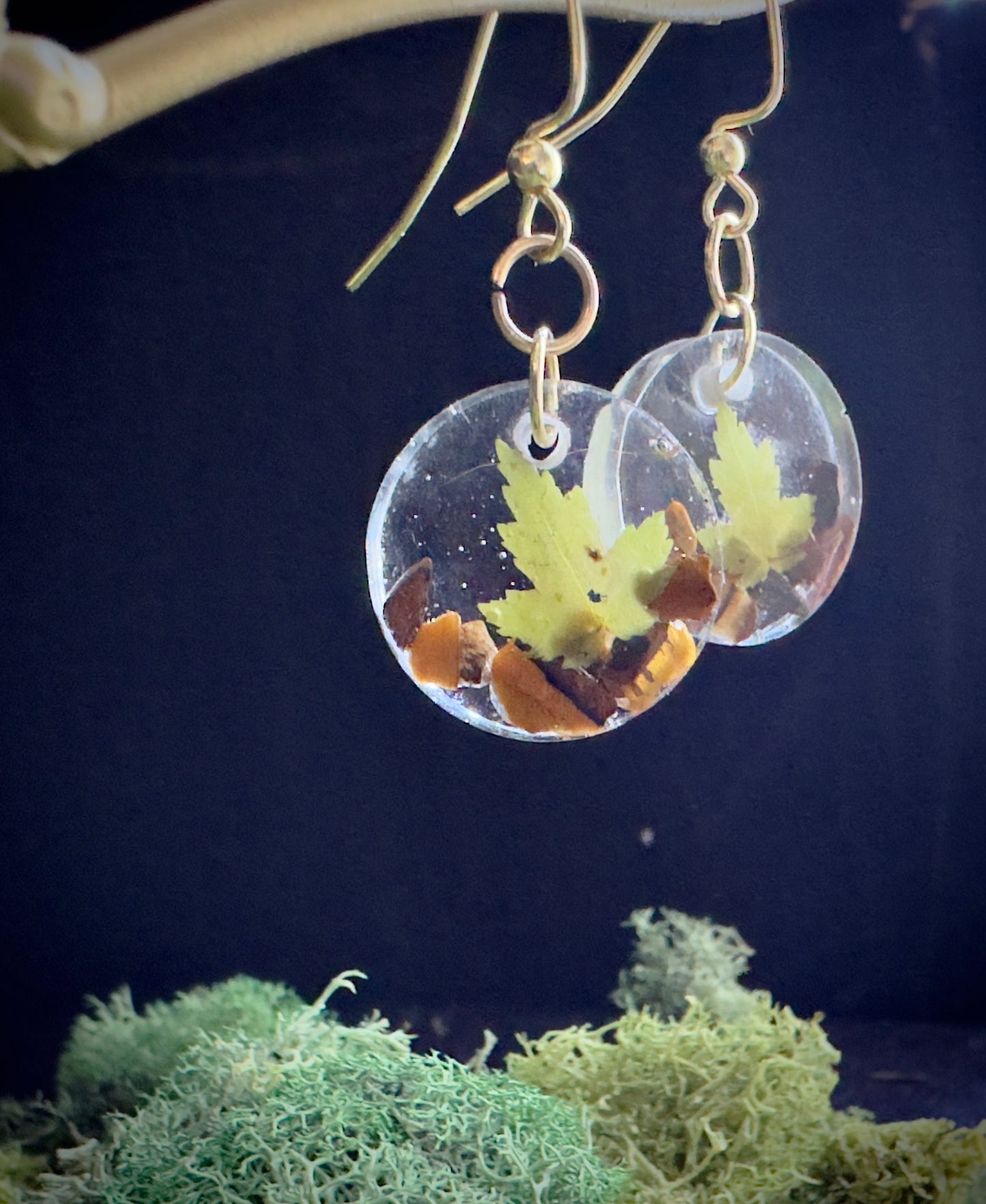 Maple Tigers eye earrings