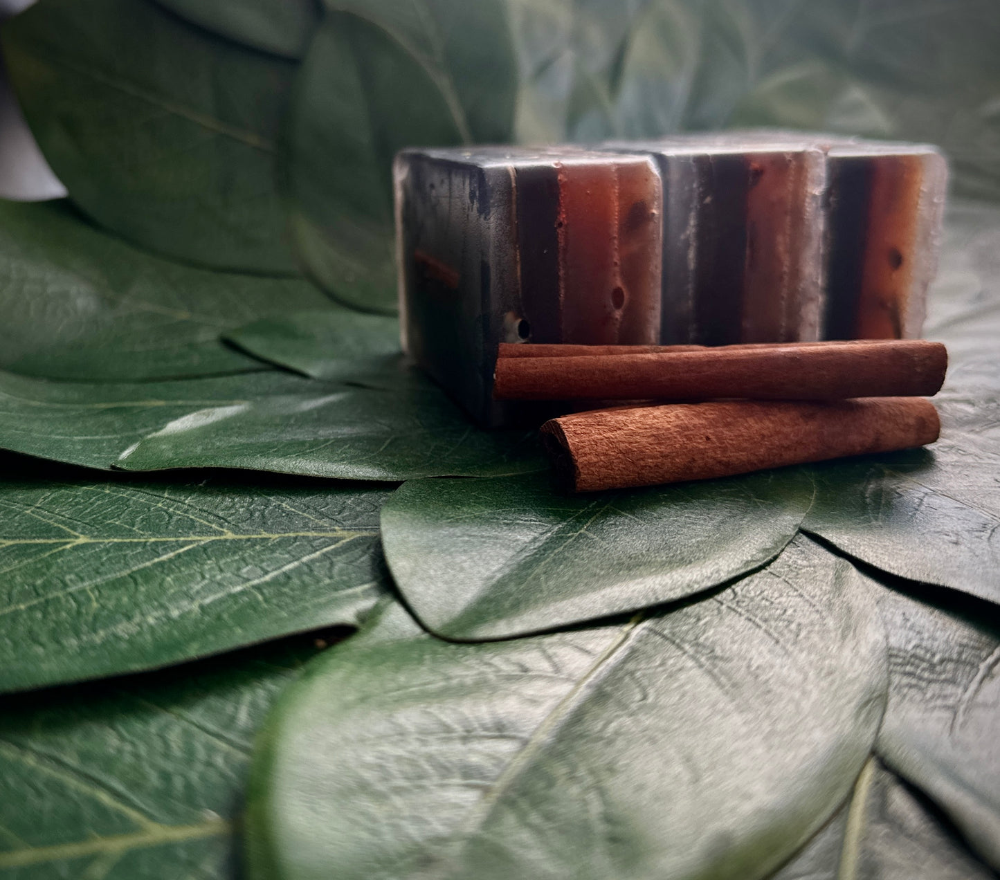Cinnamon & Clove Exfoliating Soap