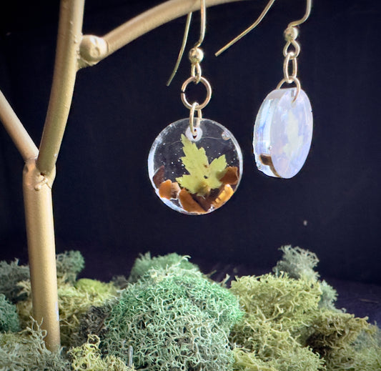Maple Tigers eye earrings