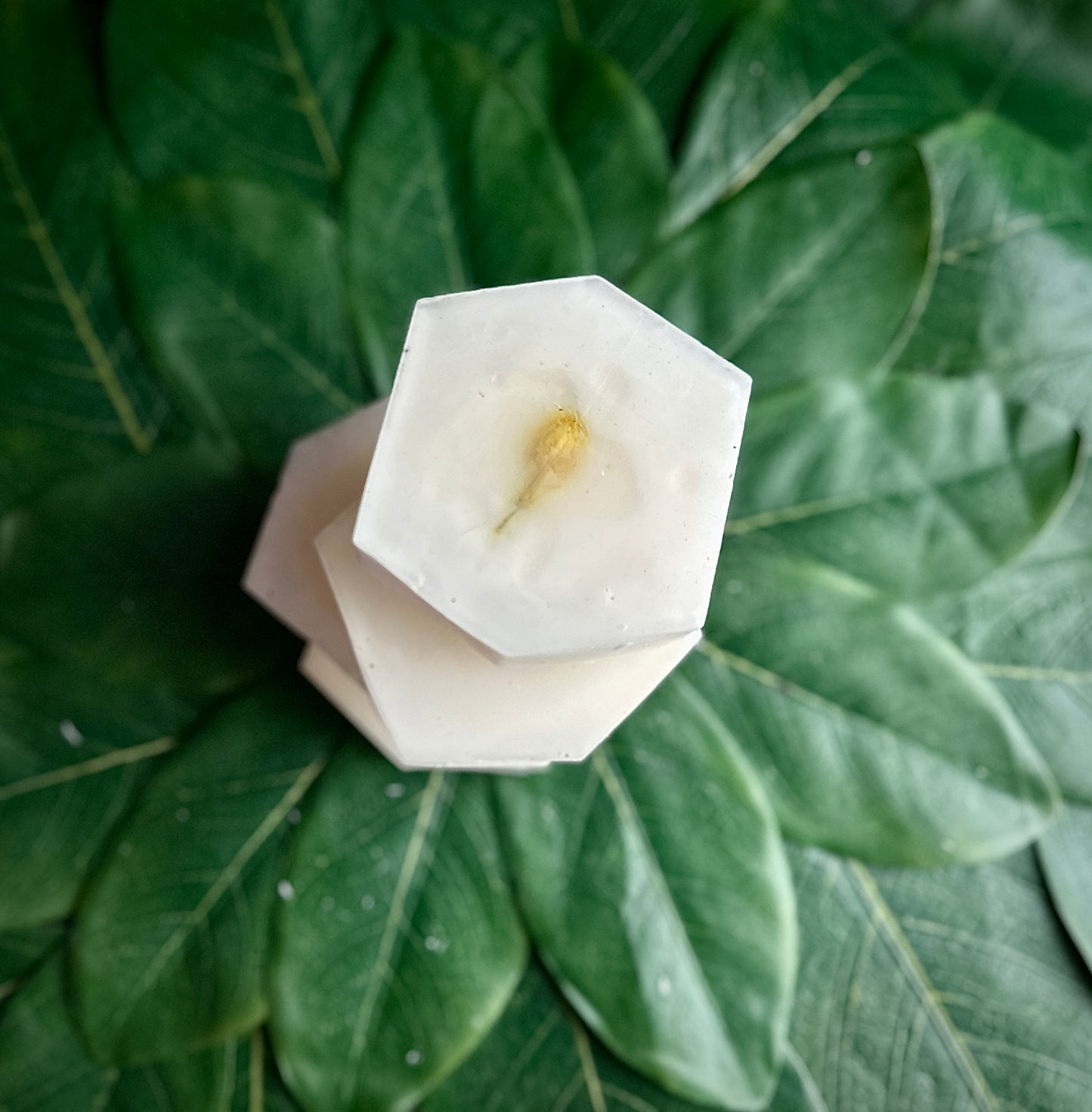 Jasmine Goats Milk and Shea Soap