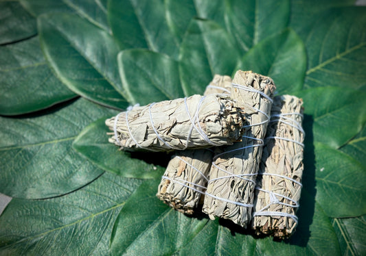 White Sage
